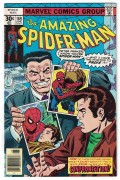 Amazing Spider Man  169 FVF